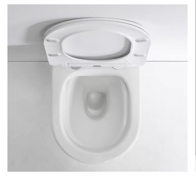 BF2441D Sleek Curved Wall-Hung Ceramic Toilet – Rimless, Soft Close Seat, Space-Saving Design