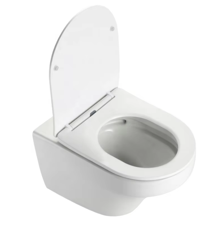 BF2462 Compact Dual Flush Floor Mounted Toilet – Efficient and Space Saving
