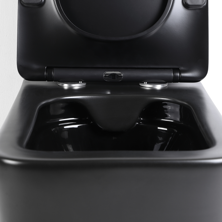 BF 2467DB-MATT Matte Black Wall-Hung Ceramic Toilet with Soft-Close Lid & Anti-Stain Surface