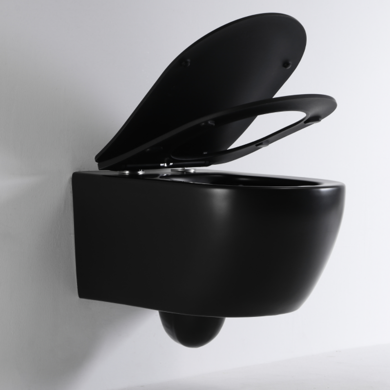 Wall-hung Toilet BF2468DB-MATT