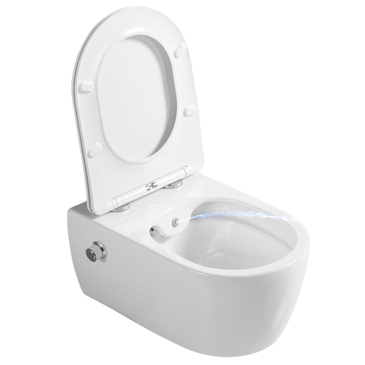 2468E-BD Wall-Hung Toilet with Integrated Bidet – Clean & Comfortable