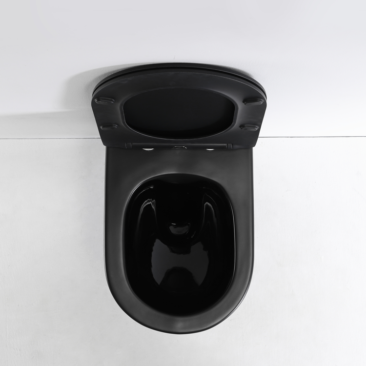 BF2468DB-MATT Matte Black Wall Hung Toilet – Modern Ceramic WC with Anti-Stain Finish