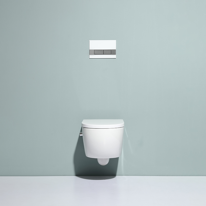 BF2468 Wall Hung Toilet Ceramic Washdown & Rimless Bathroom WC with Soft Close UF Seat