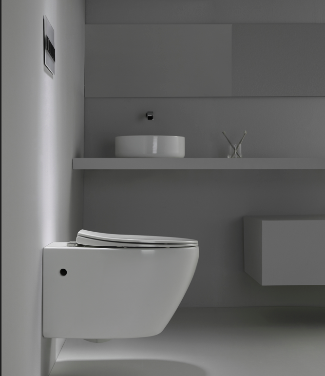 2475D Rimless Wall Hung Toilet