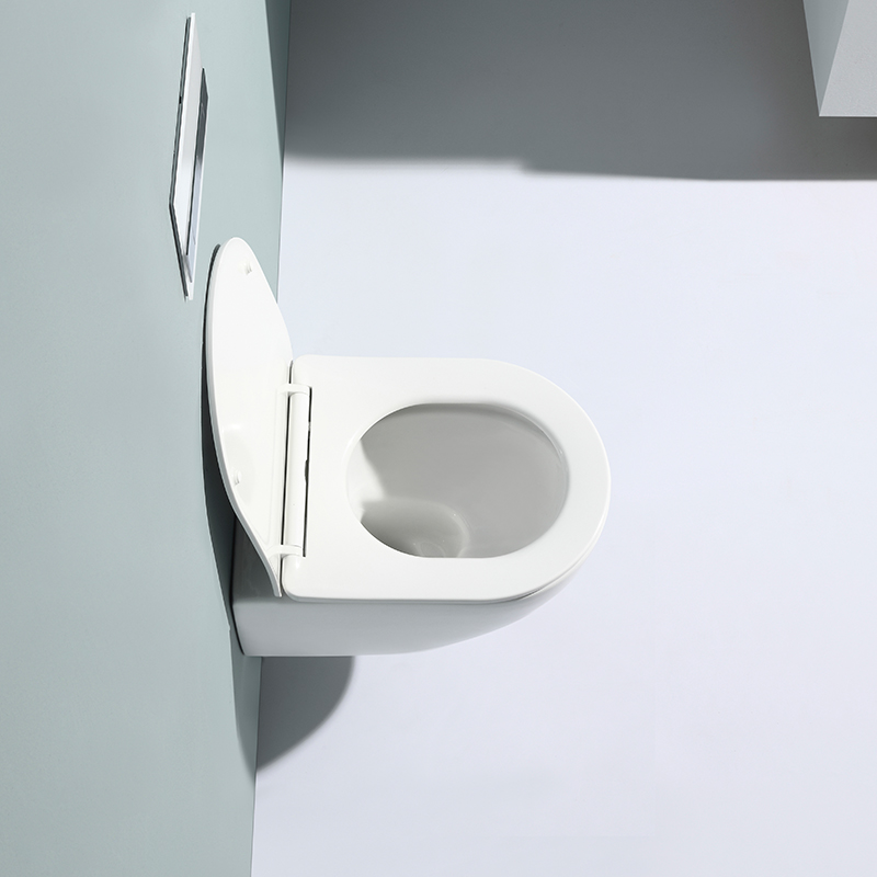 Wandhängendes WC ohne Spülrand – Modell 2478D