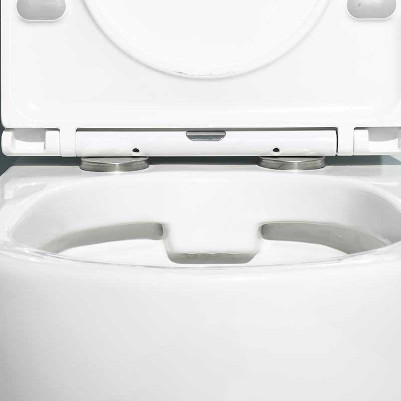 Spülrandloses wandhängendes WC – Modell 2479D