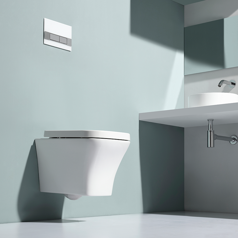 Wall-Mounted Dual Flush Toilet - Model BF2482