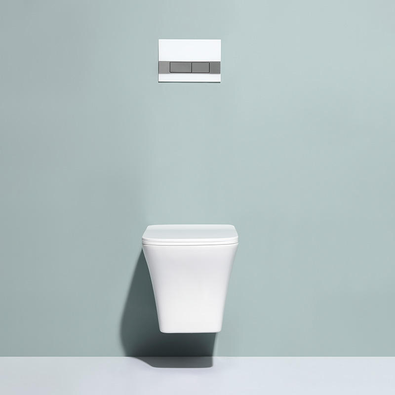 Wall-Mounted Dual Flush Toilet - Model BF2482