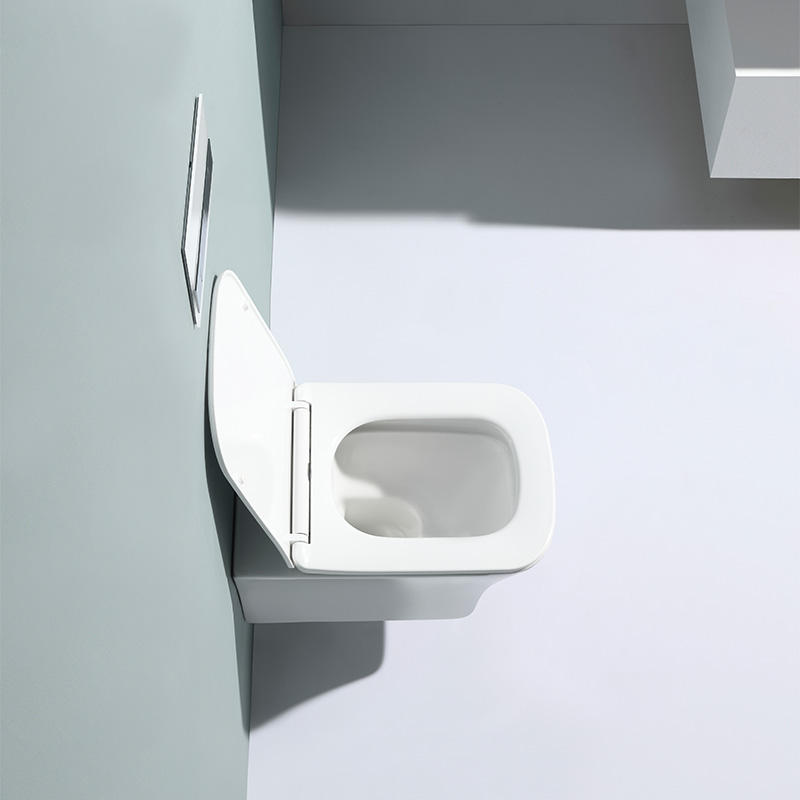 Wall-Mounted Dual Flush Toilet - Model BF2482
