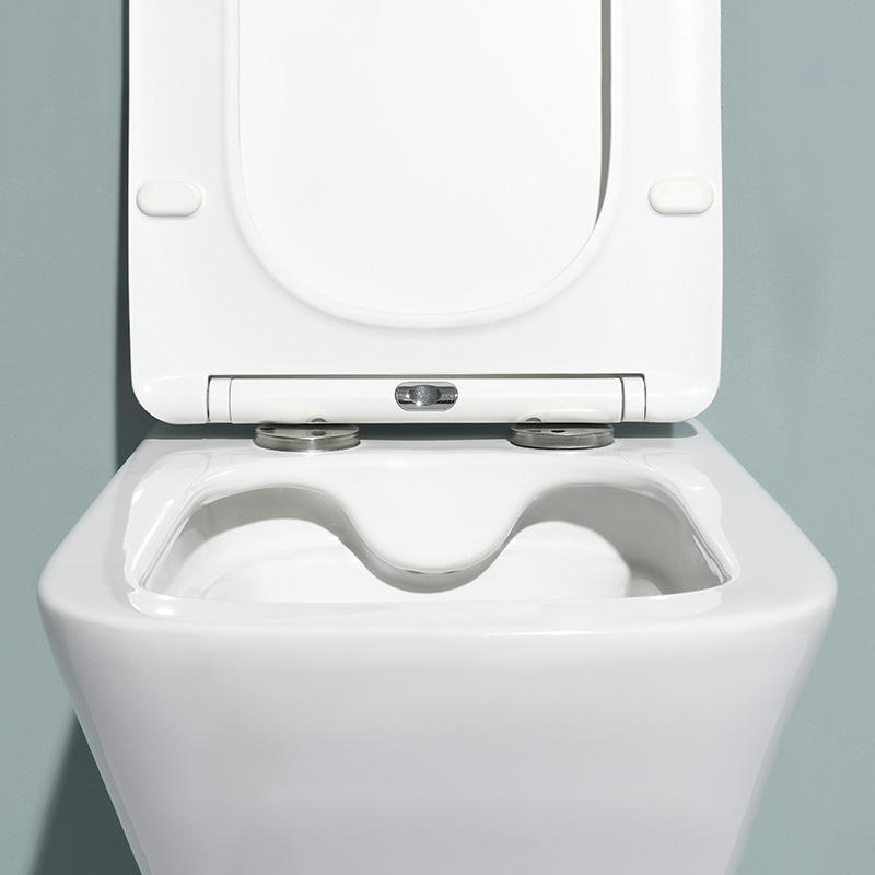 Wall-Mounted Dual Flush Toilet - Model BF2482