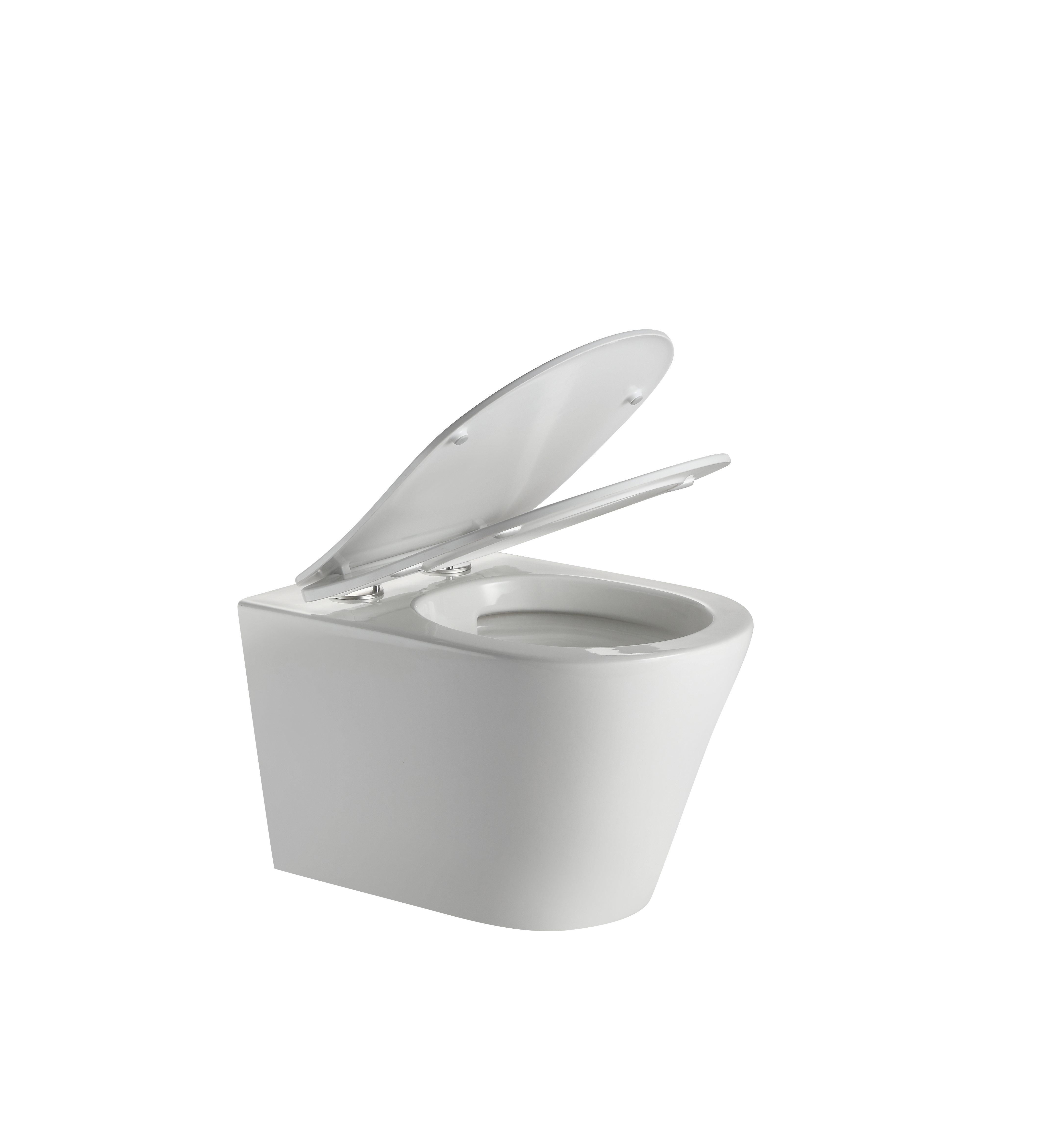 2490D Rimless Wall Hung Toilet