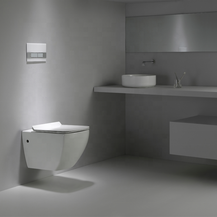 Square Wall-Mounted Dual Flush Toilet BF2496 for Bathroom