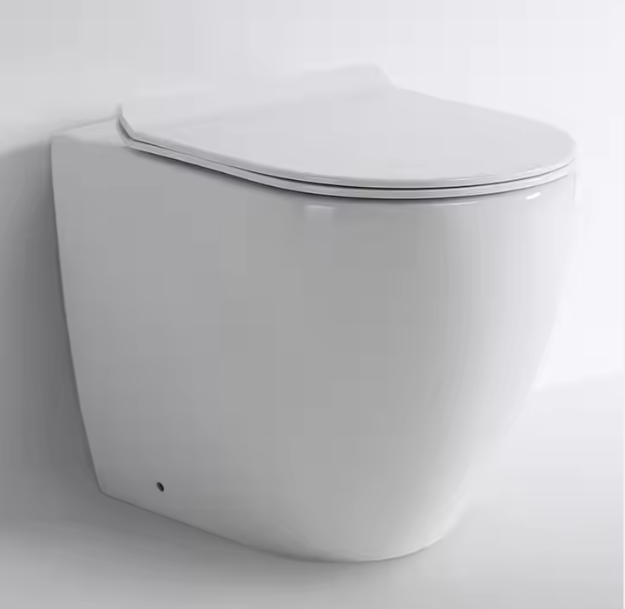 BF2518D Modern and elegant Suspended Toilet