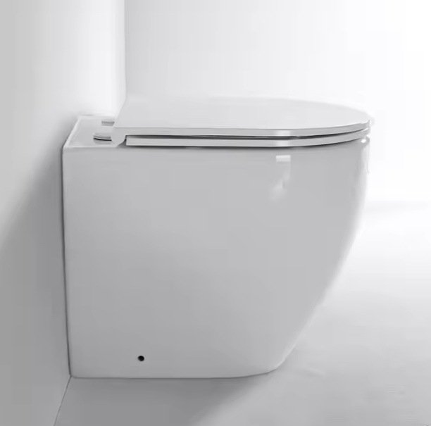 BF2518D Modern and elegant Suspended Toilet