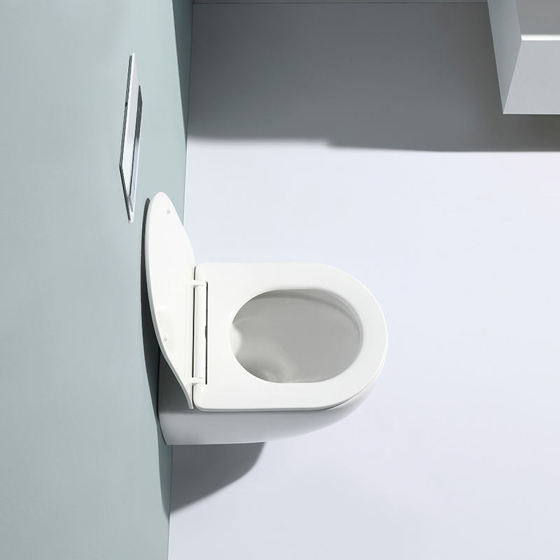 Wall-Hung Toilet