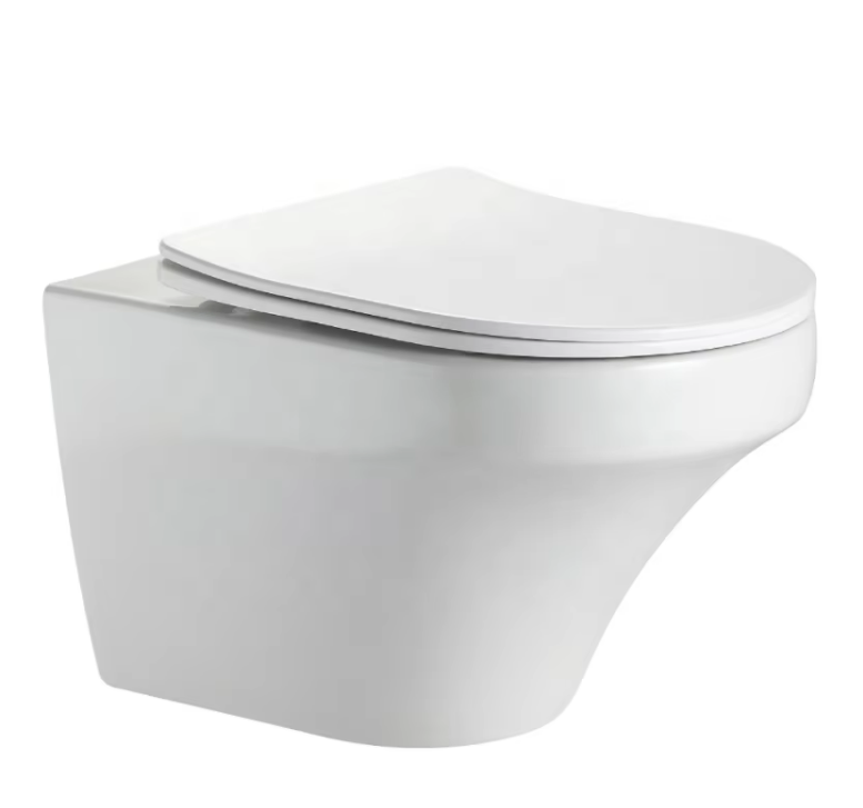 BF2462 Compact Dual Flush Floor Mounted Toilet – Efficient and Space Saving