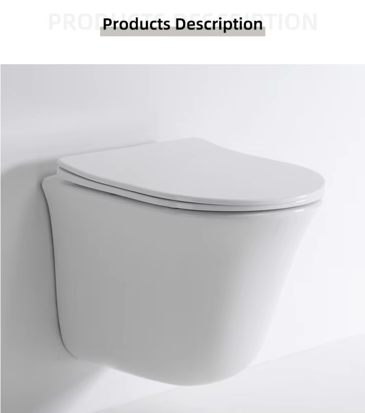 2441D Wall-Hung Toilet – Contemporary Curved Design with Soft-Close Seat