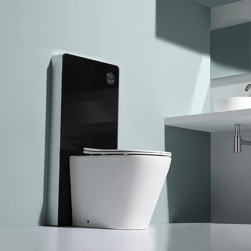 Premium BF2580D Toilet Design with Sleek Black Tank