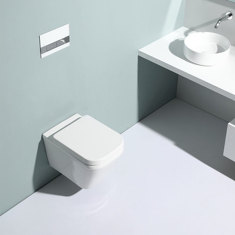 Rimless Wall Hung Ceramic Toilet Washdown WC Soft Close UF Seat Modern Bathroom