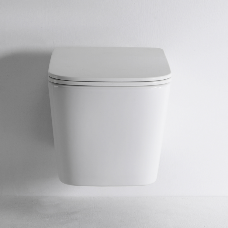 Wall-Hung Toilet – Dual Flush, Nano Self-Cleaning Technology