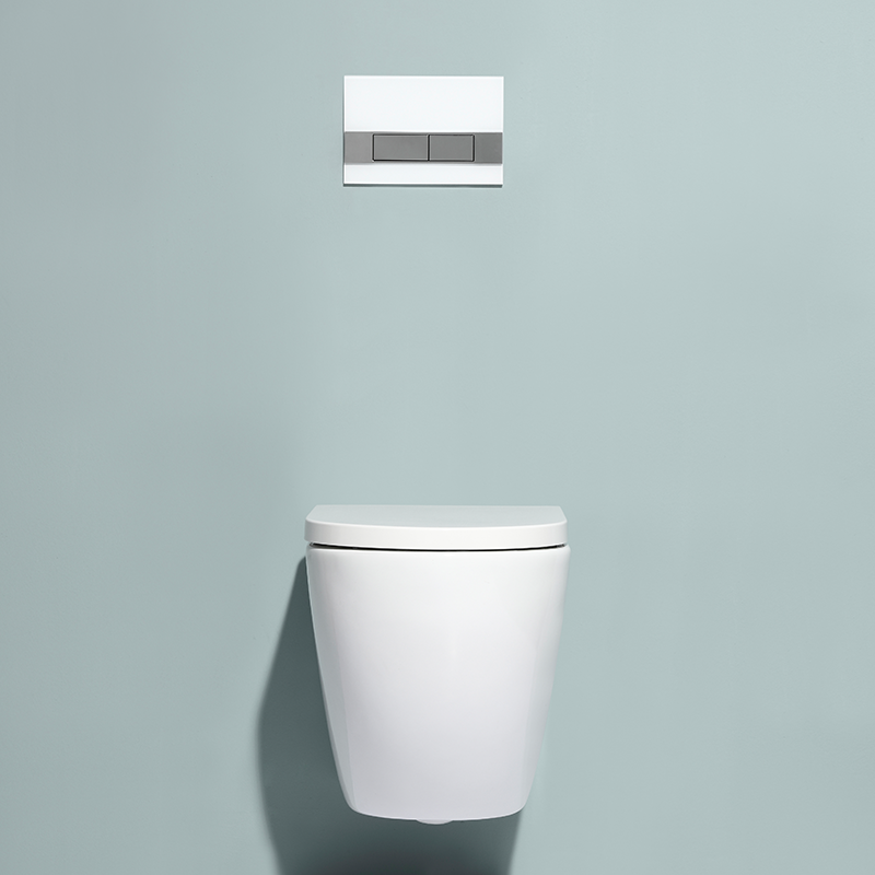 Wall-Hung Toilet BF2469 - Rimless Design with Dual Flush Function