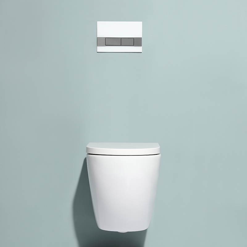BF2469 Wall Hung Toilet – Rimless Oval Ceramic Toilet with Dual Flush
