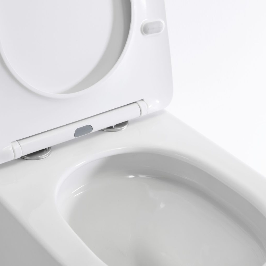 Wall-Mounted Toilet 2416D