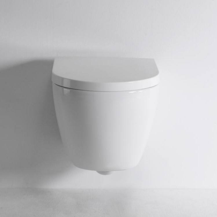 BF2418D Back to Wall Toilet Rimless Washdown Ceramic WC