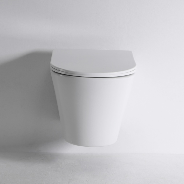 New Vortex Wall Hung Toilet BF2419E