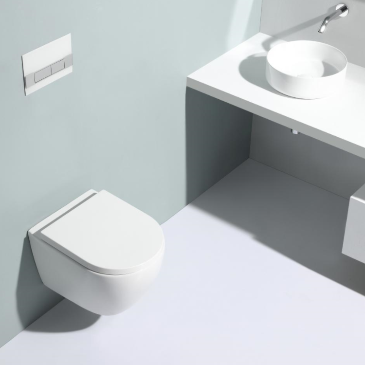 2379 Rimless Wall-Hung Toilet