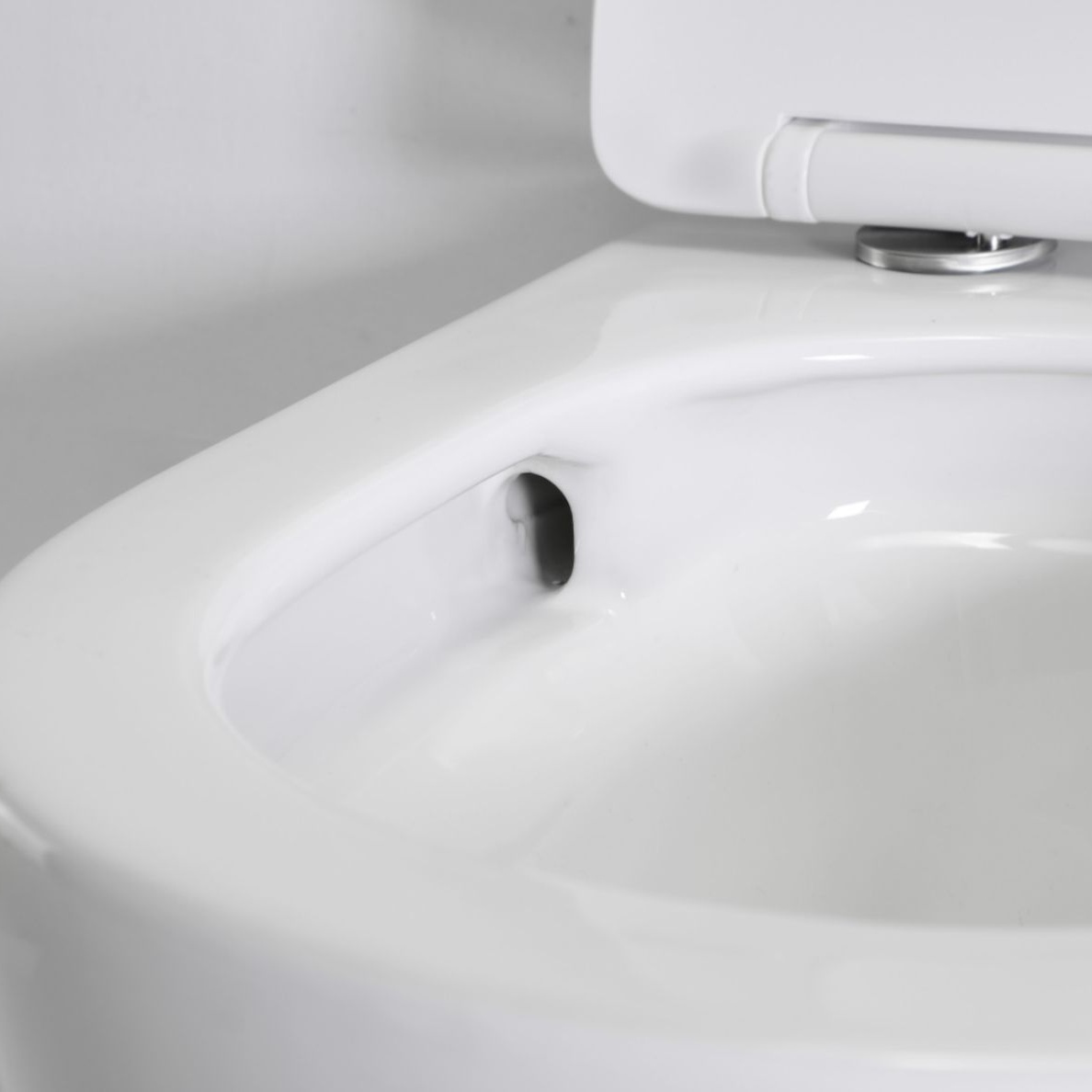 Wall-Mounted Toilet 2416D
