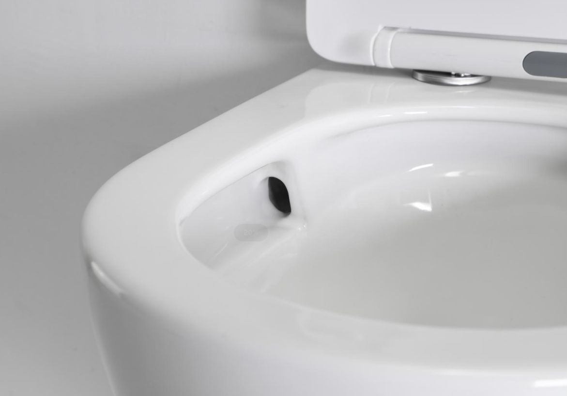BF2418D Back to Wall Toilet Rimless Washdown Ceramic WC