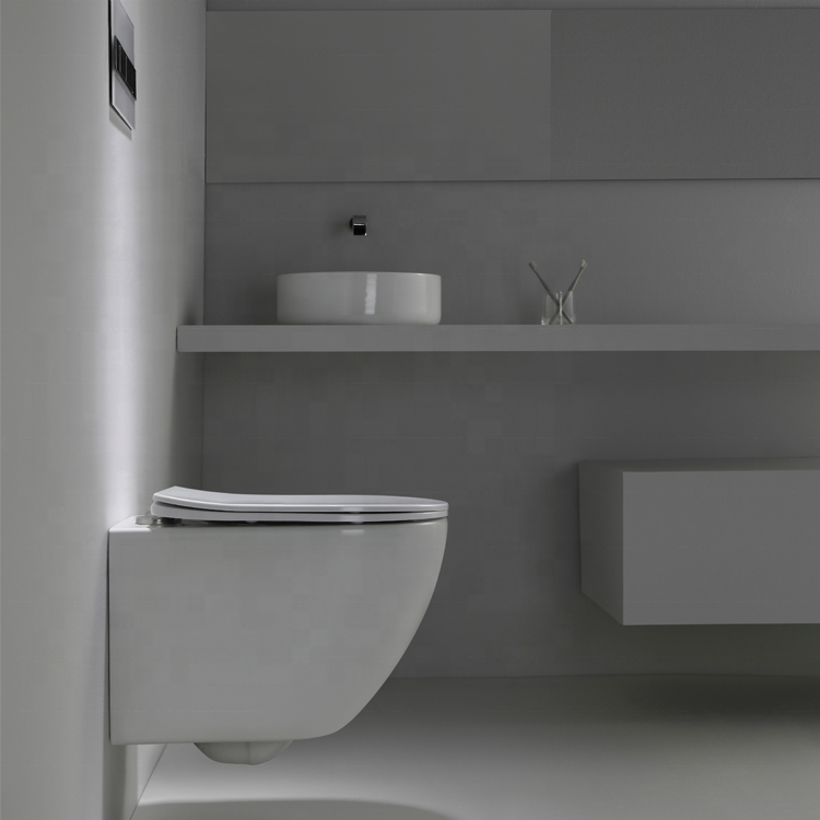 Premium BF2416D Wall-Hung Toilet with Soft-Close Seat