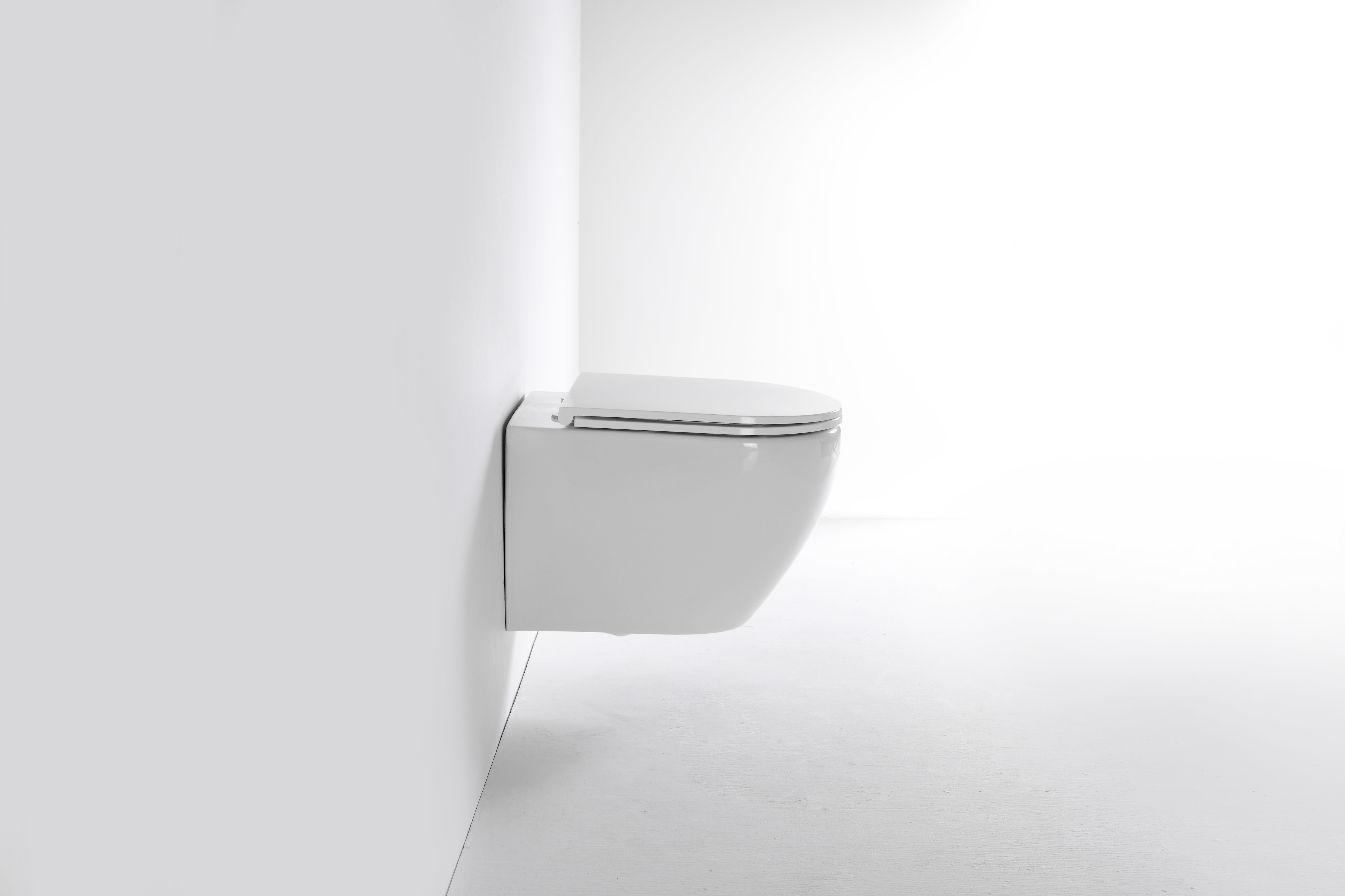 2479E Wall-Mounted Toilet