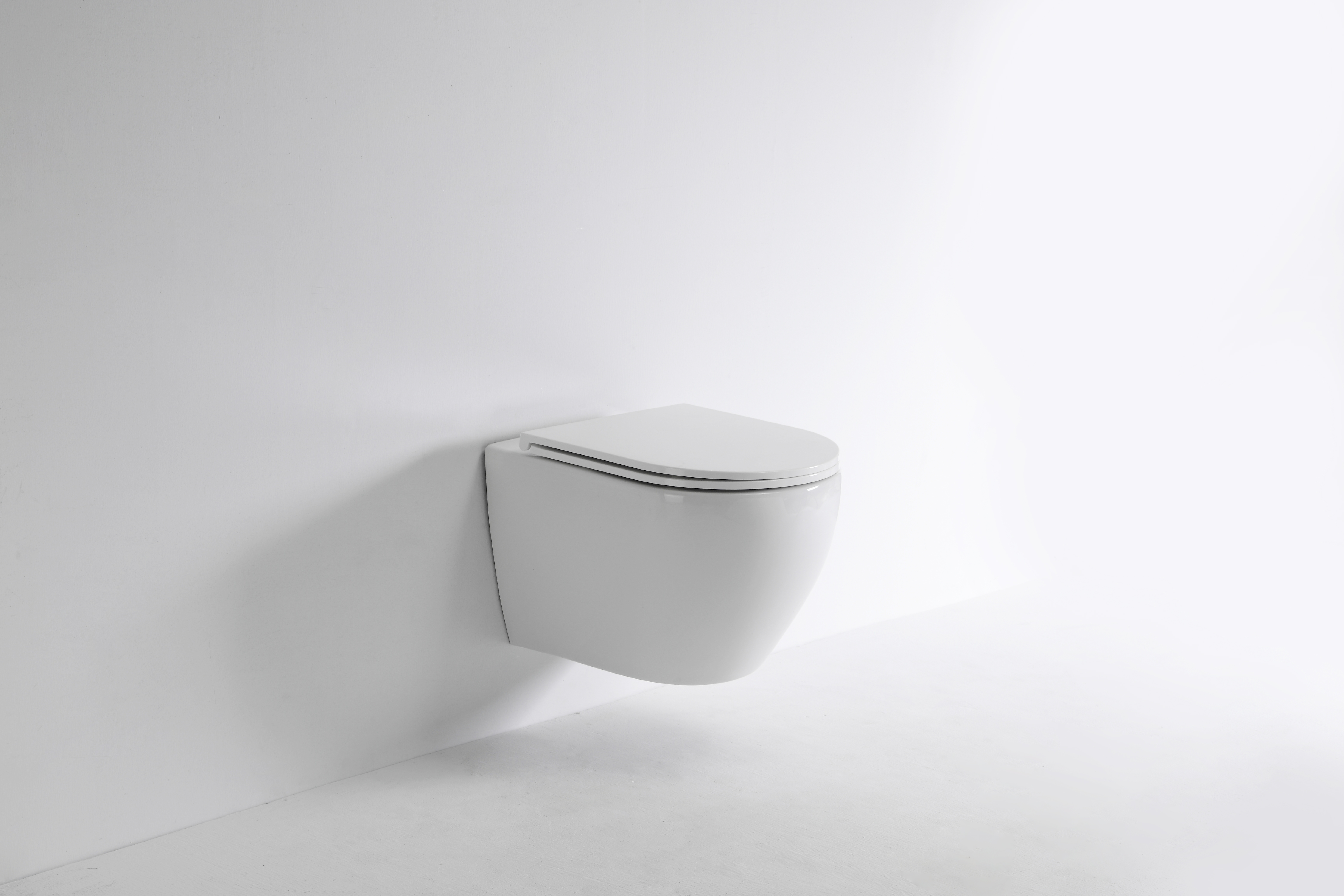 2479E Wall-Mounted Toilet