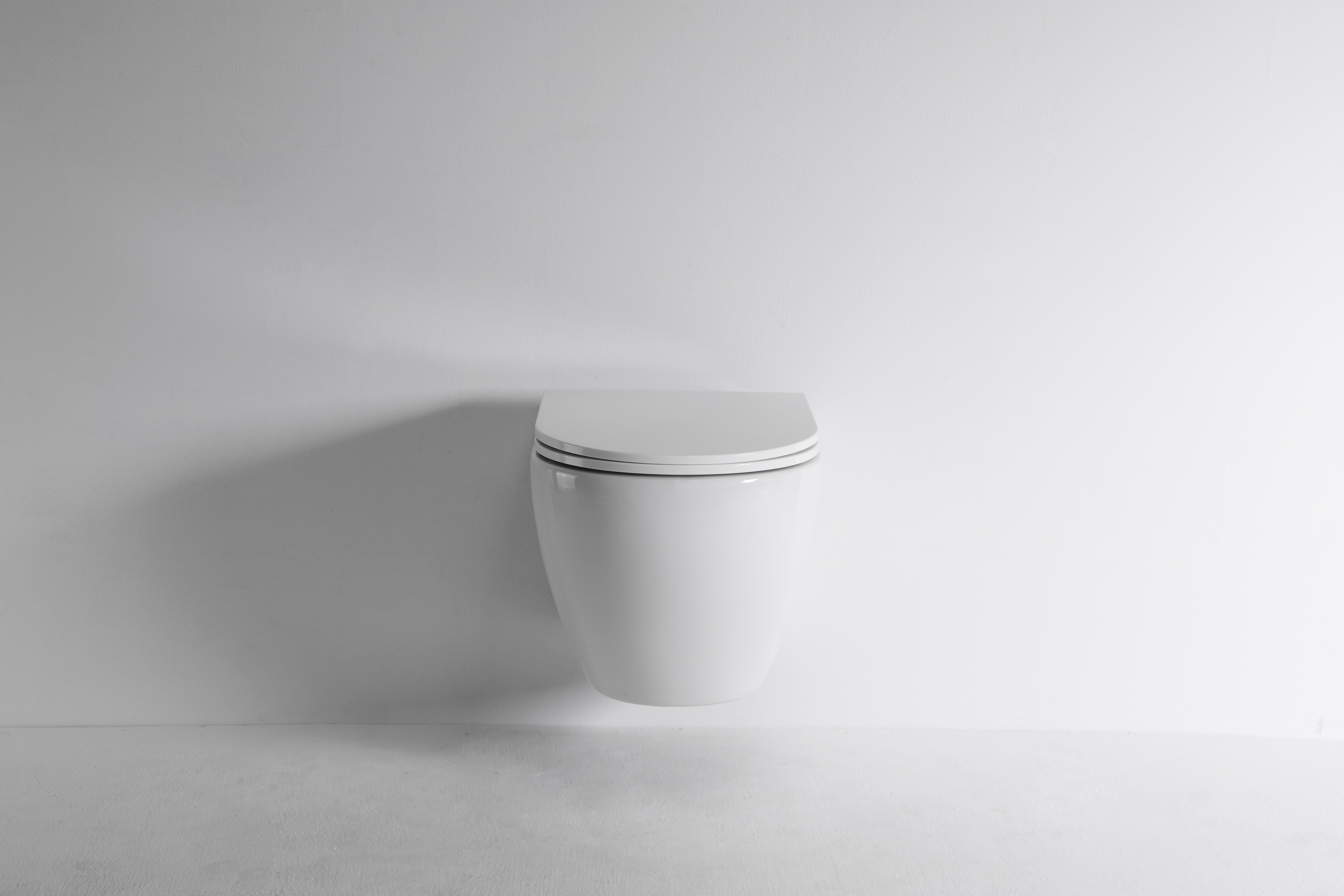 2479E Wall-Mounted Toilet