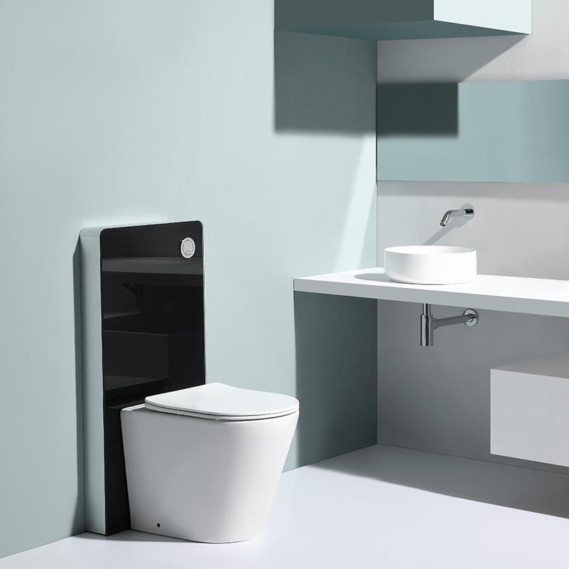 Premium BF2580D Toilet Design with Sleek Black Tank