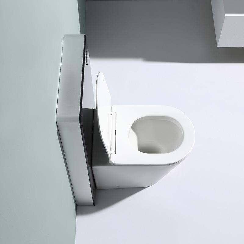 Premium BF2580D Toilet Design with Sleek Black Tank