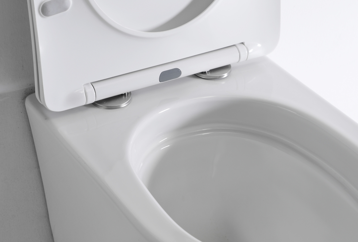 BF2419E Vortex Wall Hung Toilet Ceramic Washdown WC with UF Seat 480×360×350mm