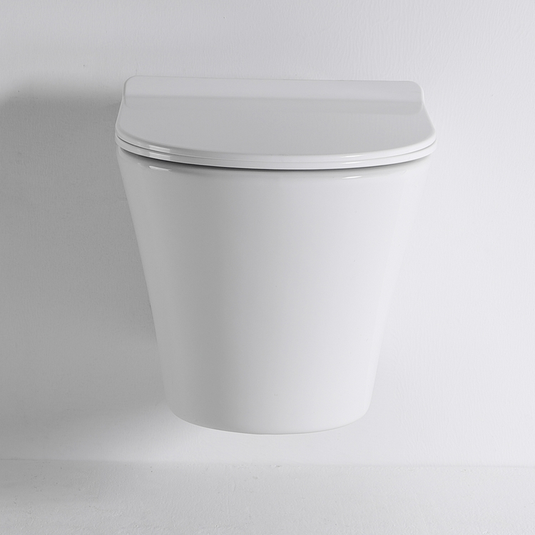 Modern Ceramic Wall Hung Toilet 530mm Cyclone Flushing Soft Close UF Seat Bathroom WC