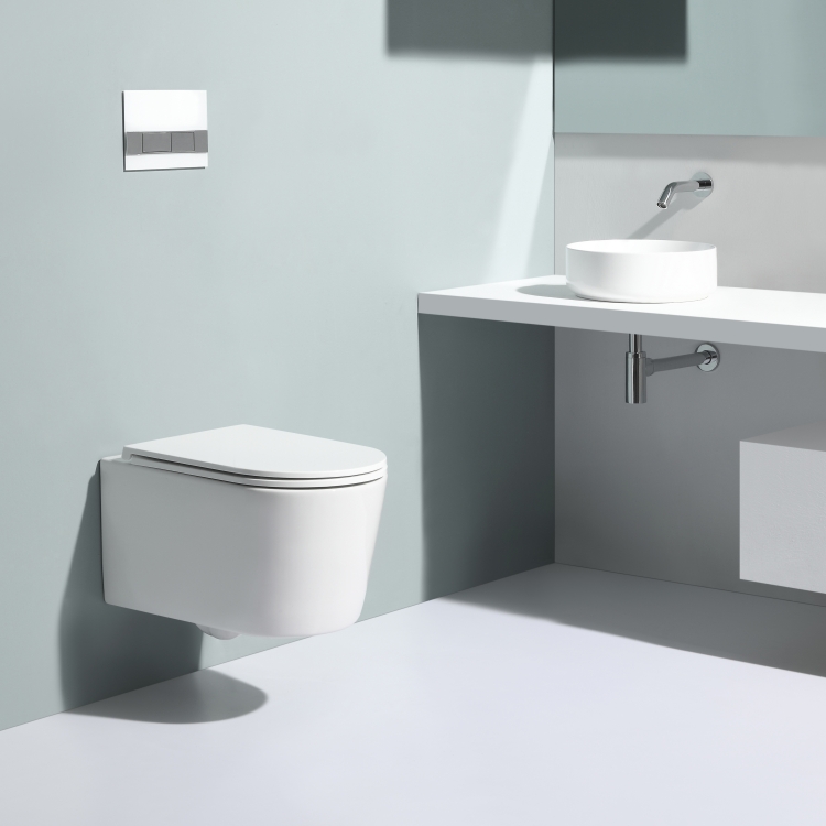 BF2366D European Style Soft Close Wall Hung Toilet
