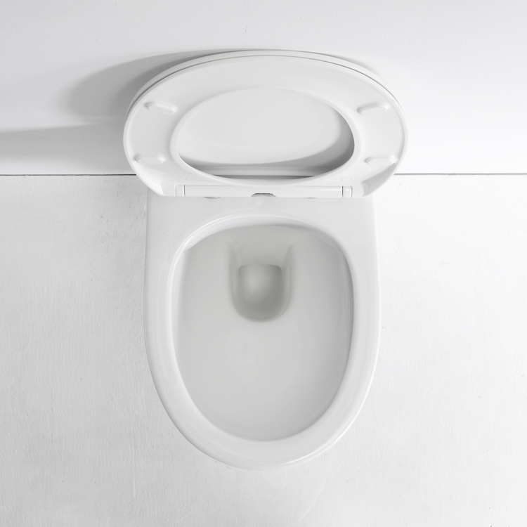 Modern Ceramic Wall Hung Toilet 500mm Soft Close Seat Washdown Flush Bathroom WC