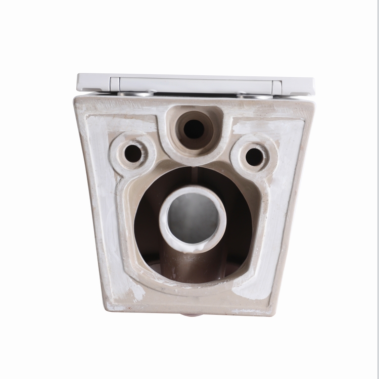 BF2419E Vortex Wall Hung Toilet Ceramic Washdown WC with UF Seat 480×360×350mm