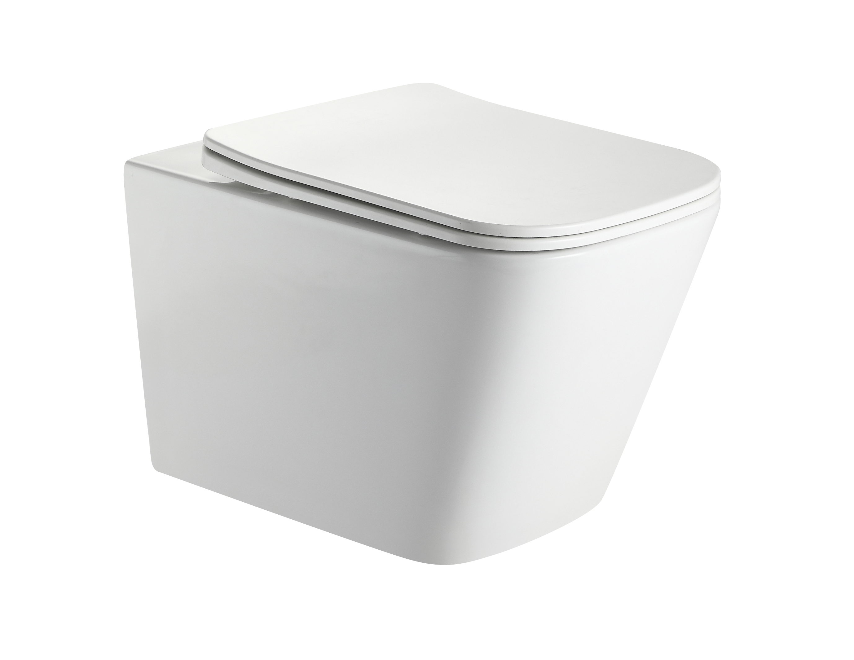 2417D Super Vortex Flush Wall-Hung Toilet – 3/4.5L Silent, Hygienic & Eco-Friendly