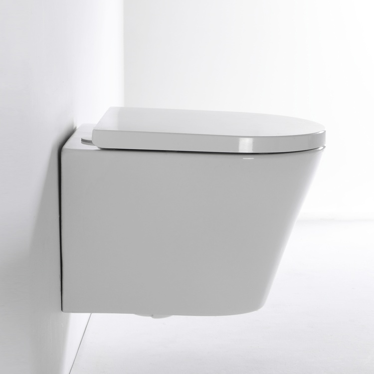 New Vortex Wall Hung Toilet BF2419