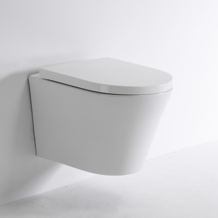 New Vortex Wall Hung Toilet BF2419