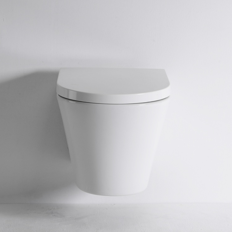 New Vortex Wall Hung Toilet BF2419