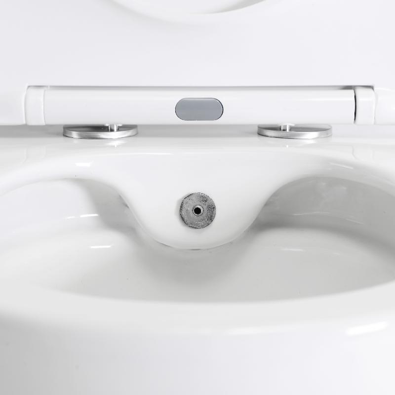 2468E-BD Wall-Hung Toilet with Integrated Bidet – Clean & Comfortable