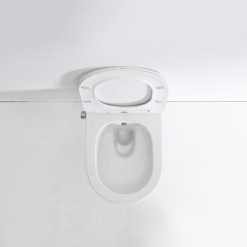2468E-BD Wall-Hung Toilet with Integrated Bidet – Clean & Comfortable