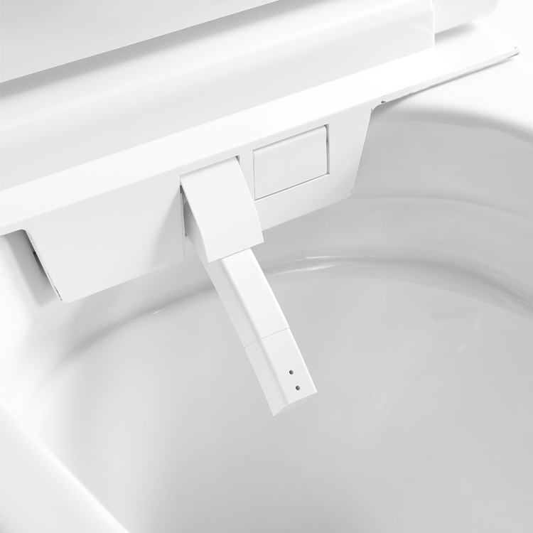 BF2499 WC Suspendu en Céramique avec Revêtement Antibactérien – Design Moderne et Gain de Place